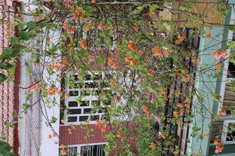 Phong Lan Guesthouse Hue Habitación foto