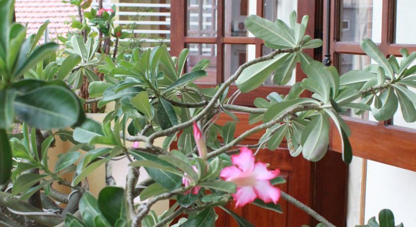 Phong Lan Guesthouse Hue Exterior foto